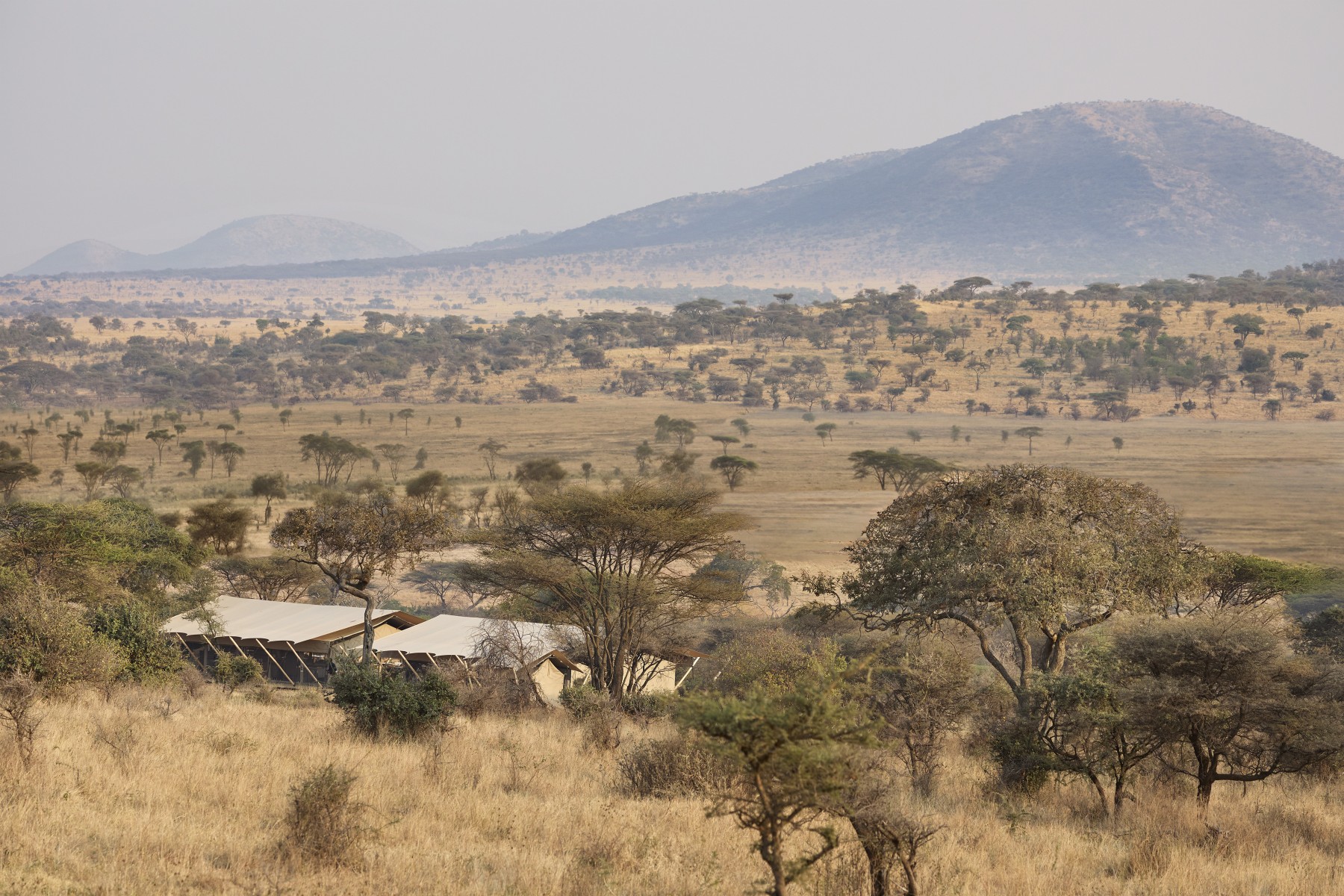 Out of Africa by Laba Laba
